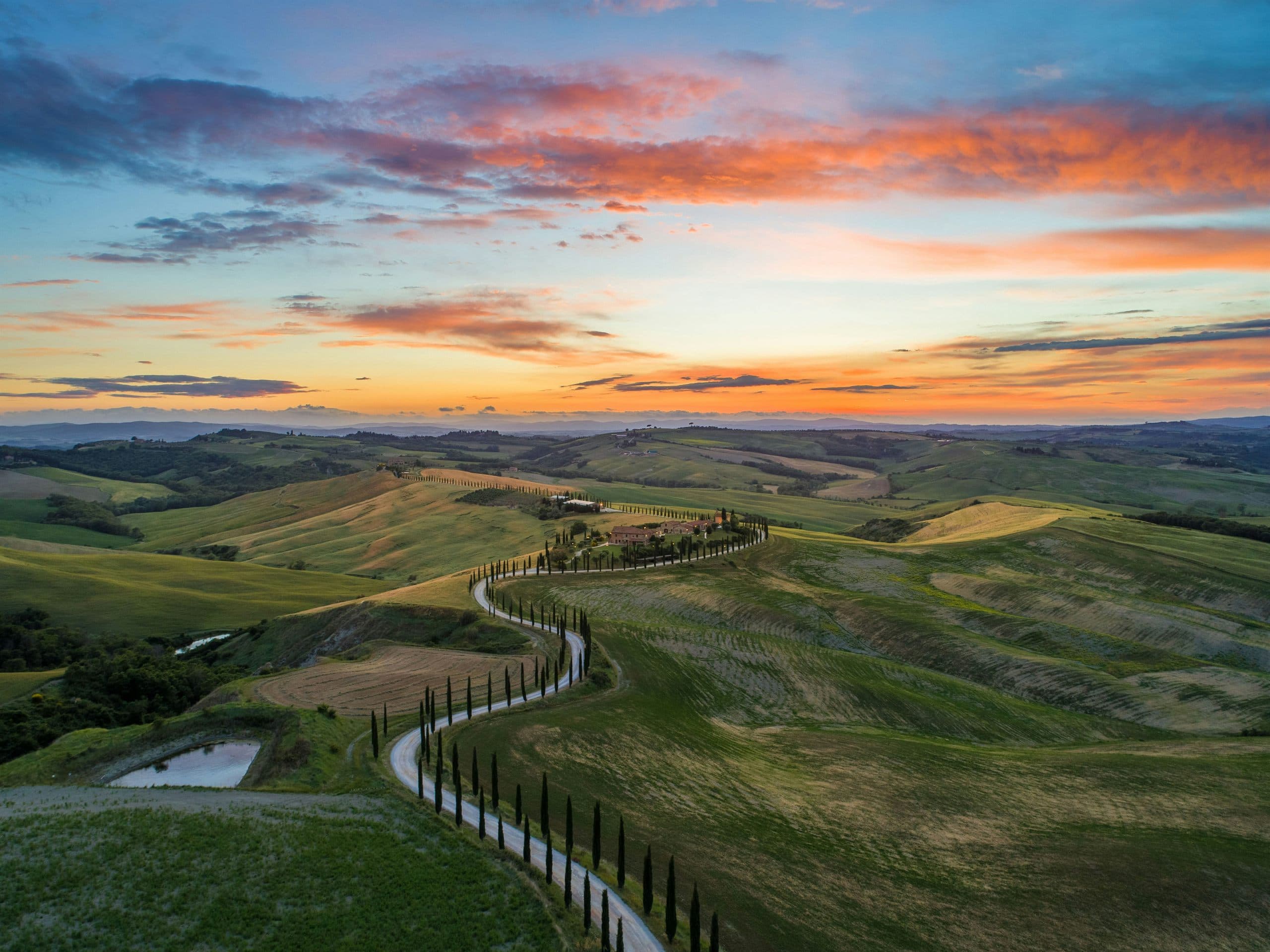 A gravel road lined with cypress trees winding between rolling green hills at sunset, a farmhouse on the ridge above.